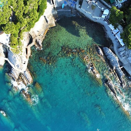 La Terrazza Sul Mare Daire Zoagli Dış mekan fotoğraf