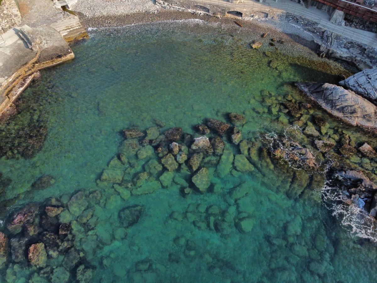 La Terrazza Sul Mare Daire Zoagli Dış mekan fotoğraf