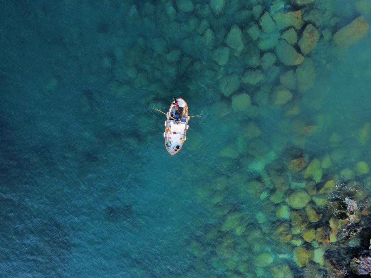 La Terrazza Sul Mare Daire Zoagli Dış mekan fotoğraf