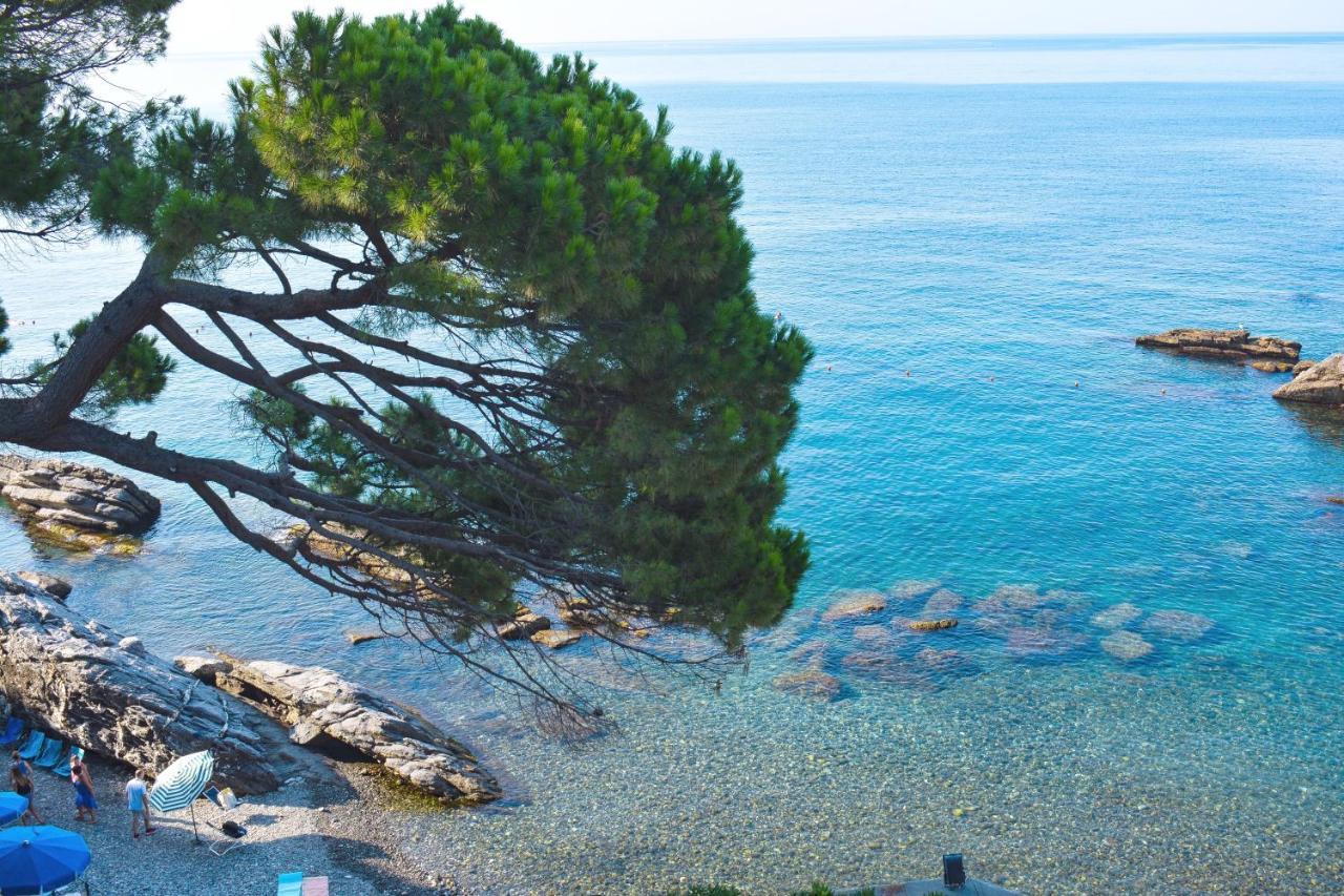La Terrazza Sul Mare Daire Zoagli Dış mekan fotoğraf