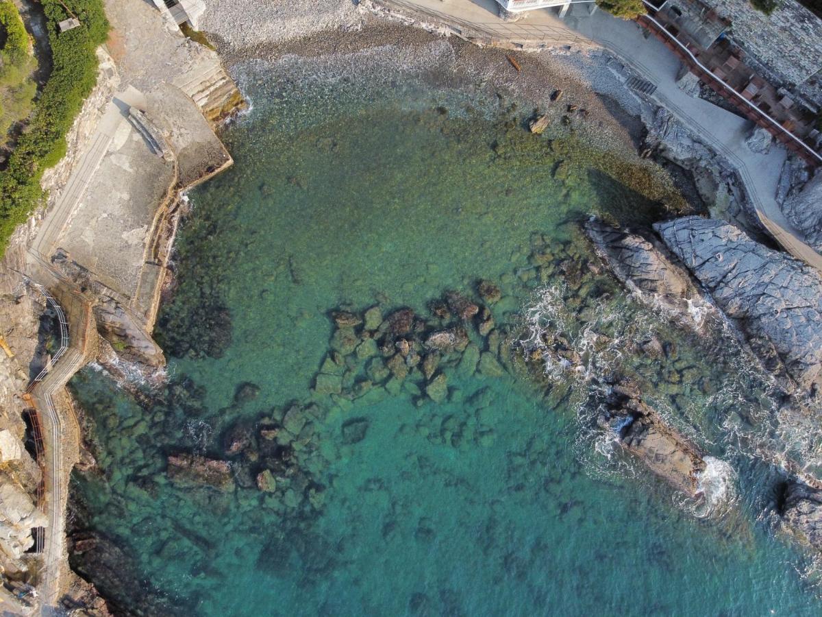 La Terrazza Sul Mare Daire Zoagli Dış mekan fotoğraf