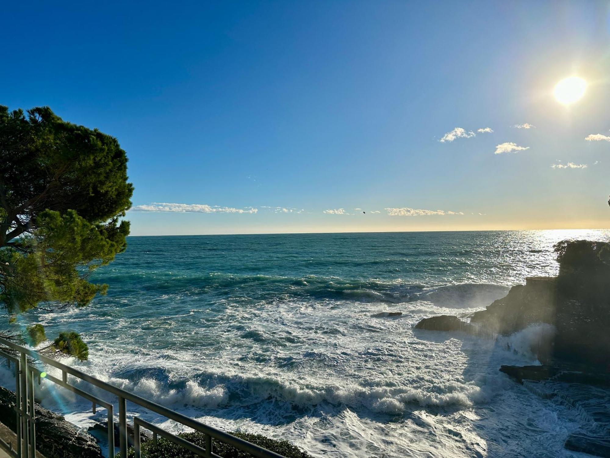 La Terrazza Sul Mare Daire Zoagli Dış mekan fotoğraf
