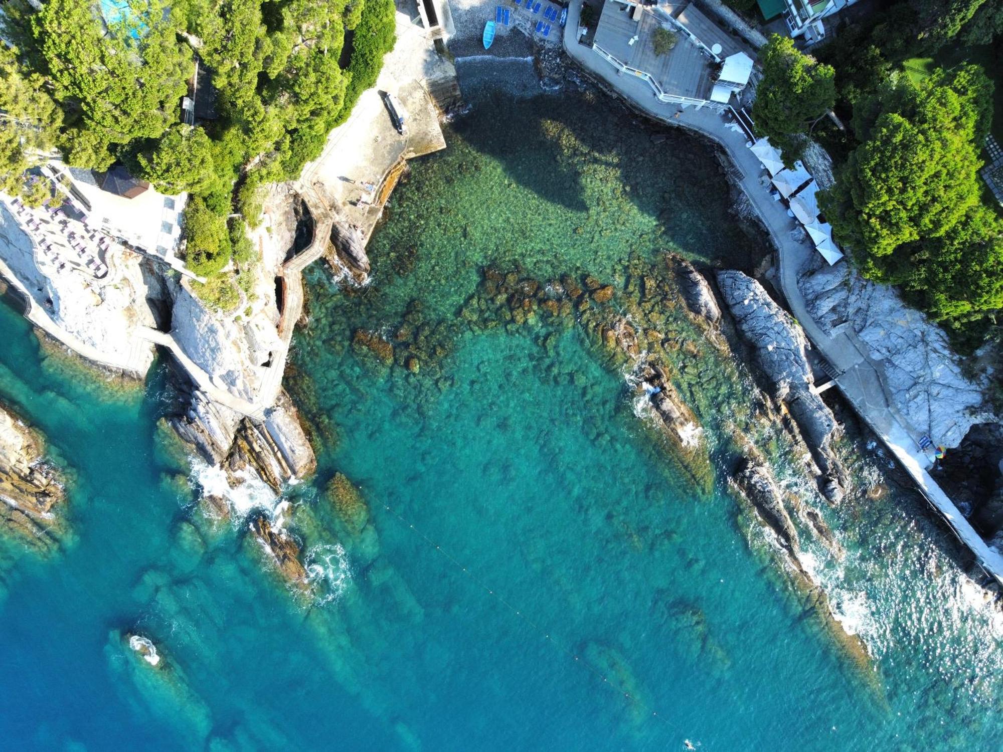 La Terrazza Sul Mare Daire Zoagli Dış mekan fotoğraf